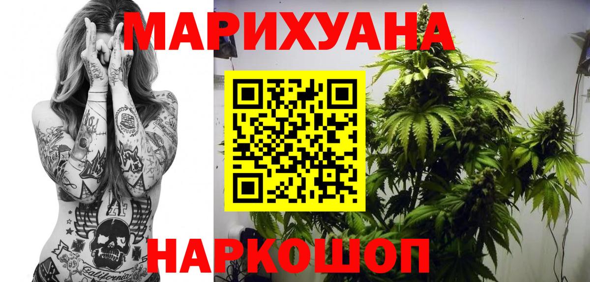 Конопля OG Kush Сорочинск
